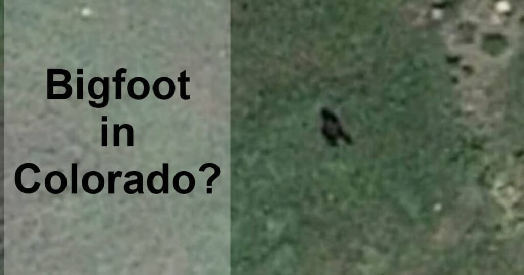 Bigfoot Sighting in Colorado Captured on Google Earth