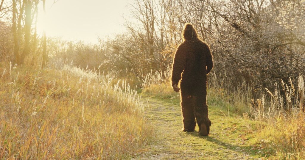 Colorado to host festival with a Bigfoot theme