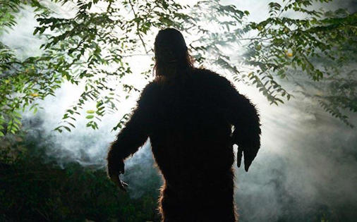 The Mystery of Bigfoot, UFOs, and Teleportation in the Pacific Northwest: Are They Alien Allies or Mysterious Relatives?