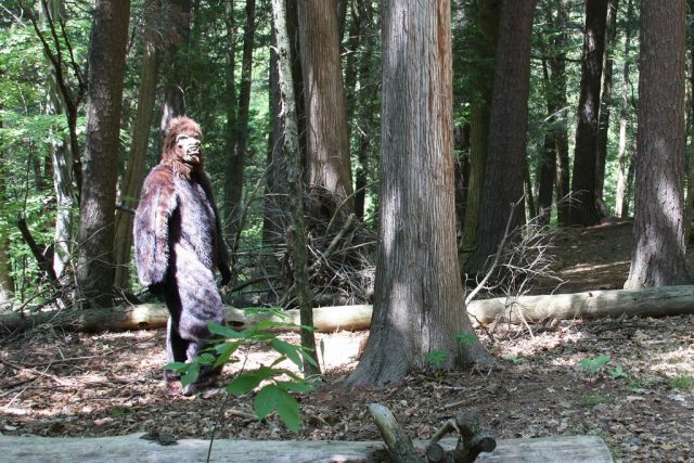 Bigfoot Festival Makes a Comeback in August at Hocking Hills - Scioto Post