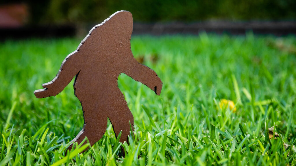 New book provides detailed accounts of over 60 bigfoot encounters in West Virginia.