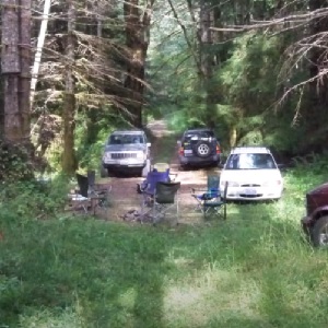 "Unleash the Chilling Sasquatch Triple Moan Howl and Whoops - Prepare for Goosebumps!"